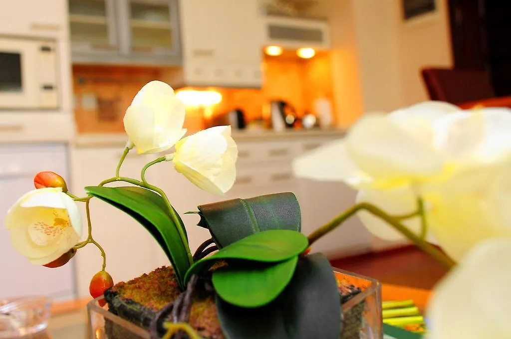 **** 公寓式酒店 Tempo Residence Gayrettepe 伊斯坦布尔 土耳其